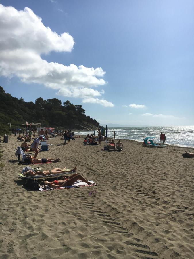 كاستيغليون ديلا بيسكايا Villetta Con Spiaggia Privata Alle Dune المظهر الخارجي الصورة